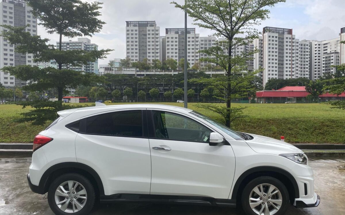 WhatsApp Image 2025-02-27 at 7.19.00 PM