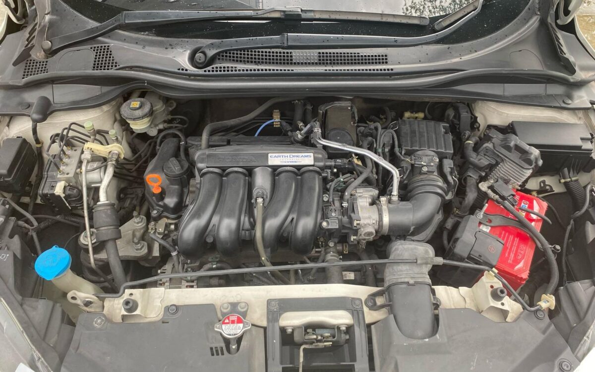 WhatsApp Image 2025-02-27 at 7.19.15 PM