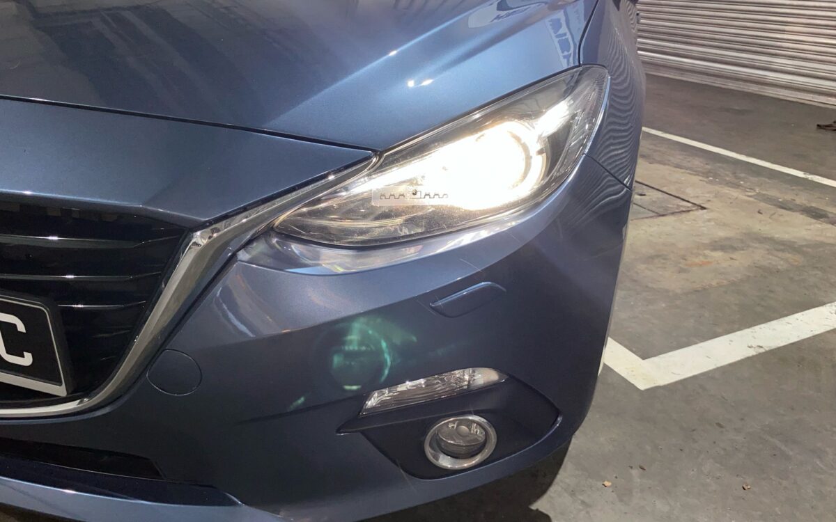 WhatsApp Image 2025-02-27 at 7.29.32 PM (1)