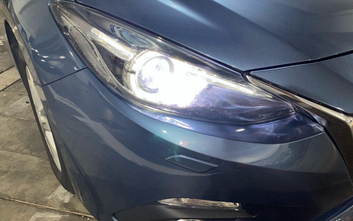 WhatsApp Image 2025-02-27 at 7.30.19 PM (2)