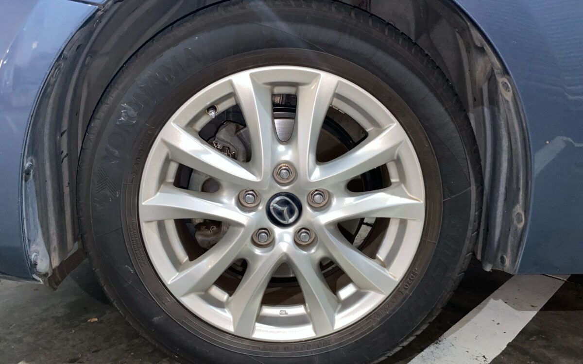 WhatsApp Image 2025-02-27 at 7.30.20 PM (2)