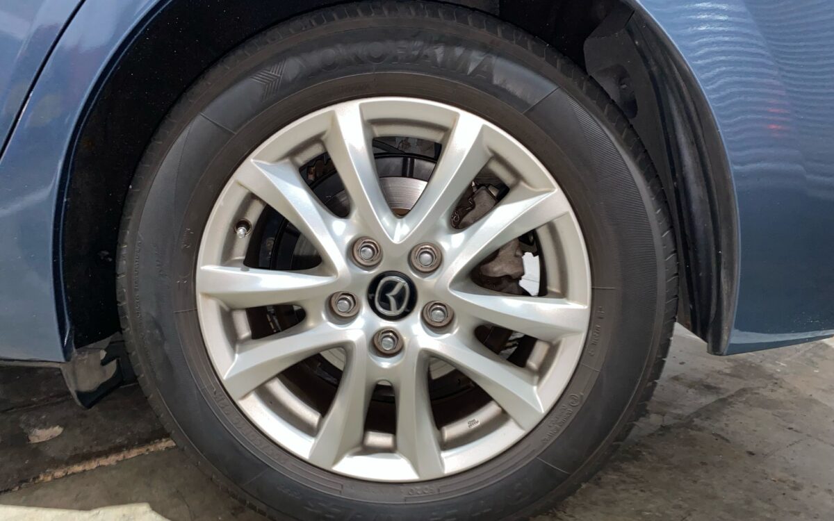 WhatsApp Image 2025-02-27 at 7.30.21 PM