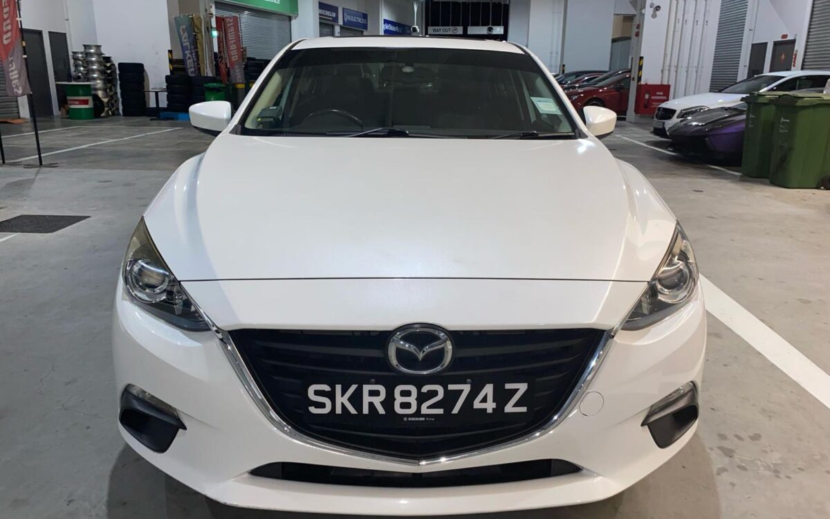 WhatsApp Image 2025-02-27 at 7.30.24 PM