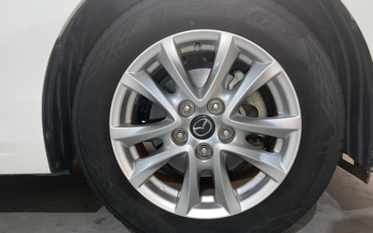 WhatsApp Image 2025-02-27 at 7.30.32 PM (2)