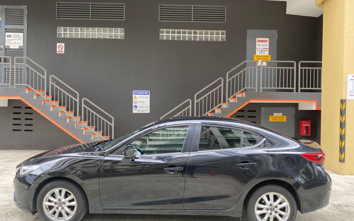 WhatsApp Image 2025-02-27 at 7.34.30 PM