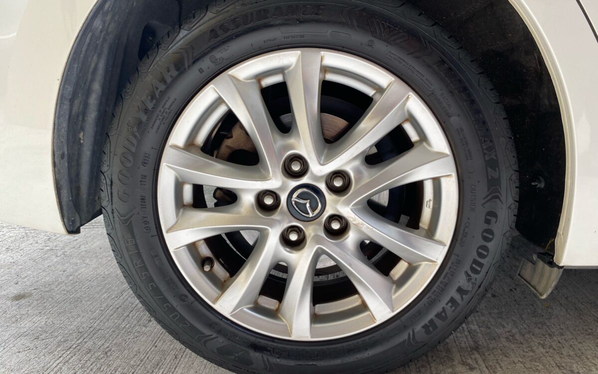 WhatsApp Image 2025-02-27 at 7.41.01 PM