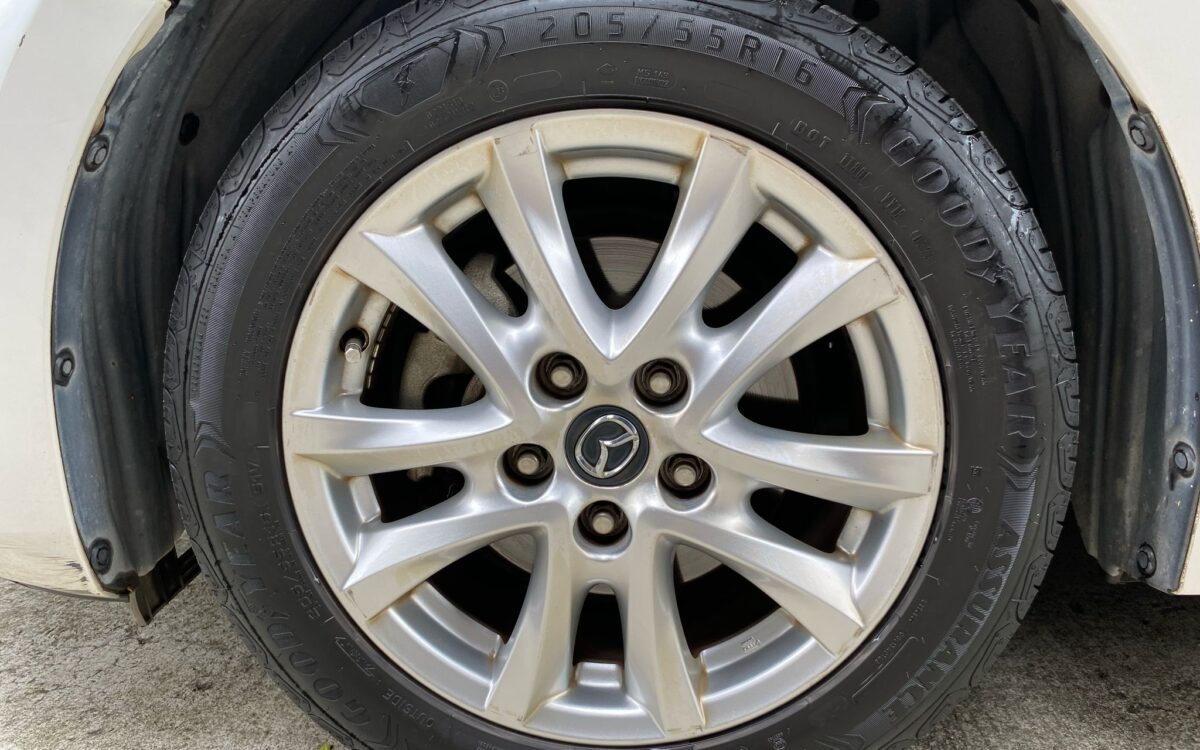 WhatsApp Image 2025-02-27 at 7.41.07 PM