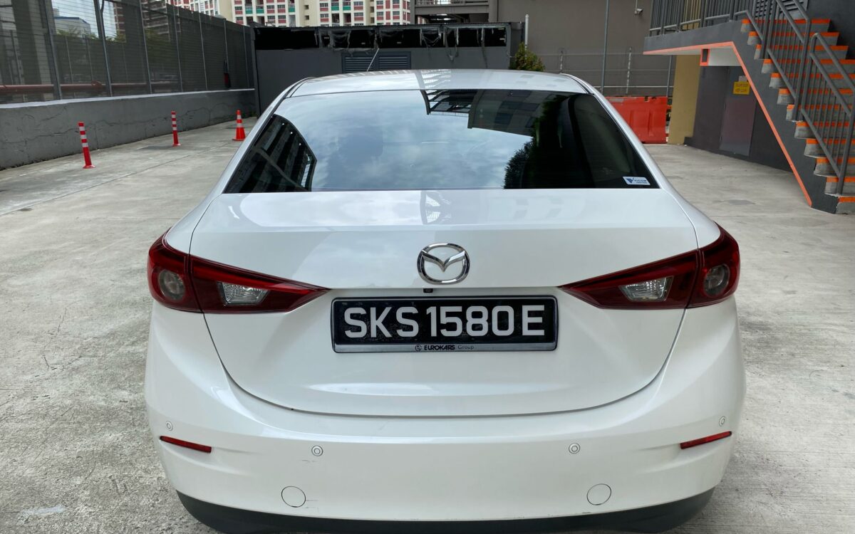 WhatsApp Image 2025-02-27 at 7.41.08 PM (1)