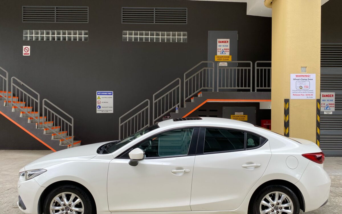 WhatsApp Image 2025-02-27 at 7.41.10 PM