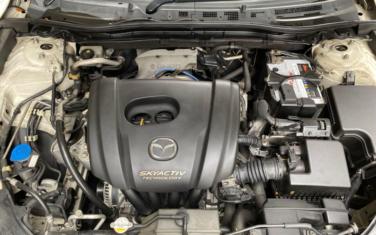 WhatsApp Image 2025-02-27 at 7.41.12 PM (1)