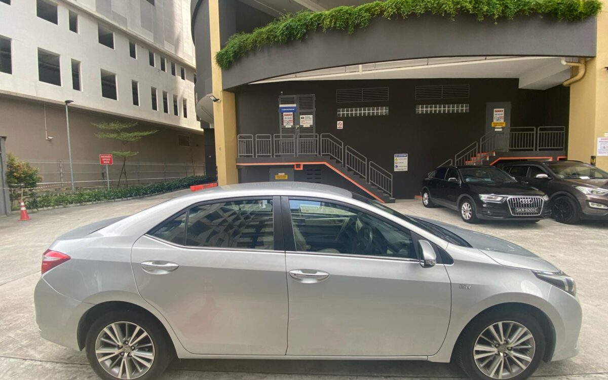 WhatsApp Image 2025-02-28 at 5.52.33 PM