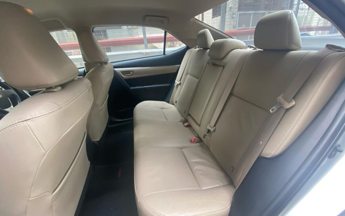 WhatsApp Image 2025-02-28 at 5.52.48 PM