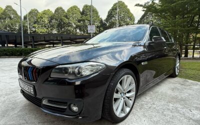 2015/15 BMW 520I LED