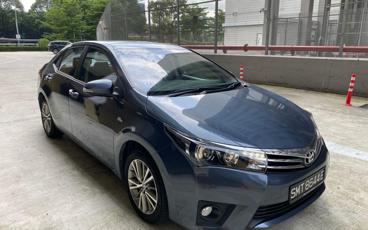 WhatsApp Image 2025-04-28 at 9.47.10 PM