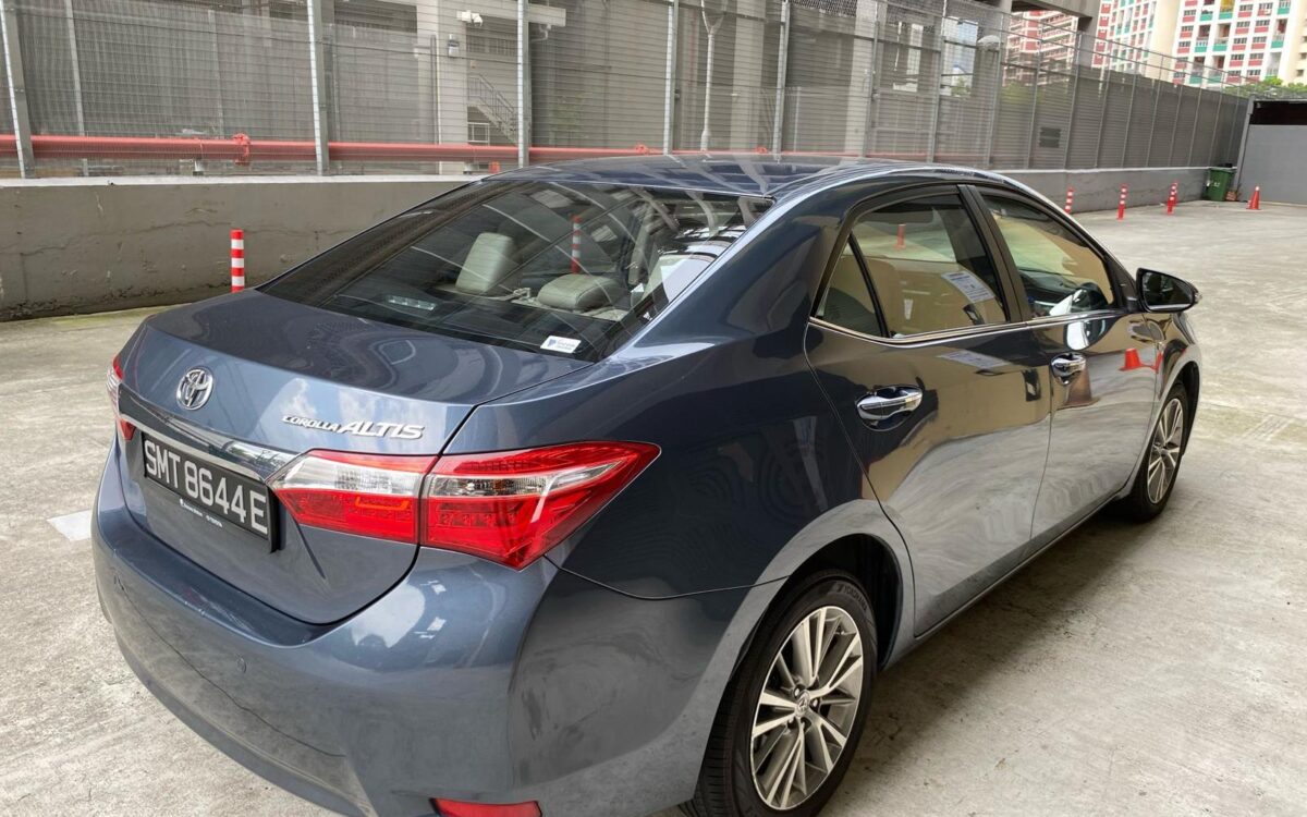 WhatsApp Image 2025-04-28 at 9.47.14 PM