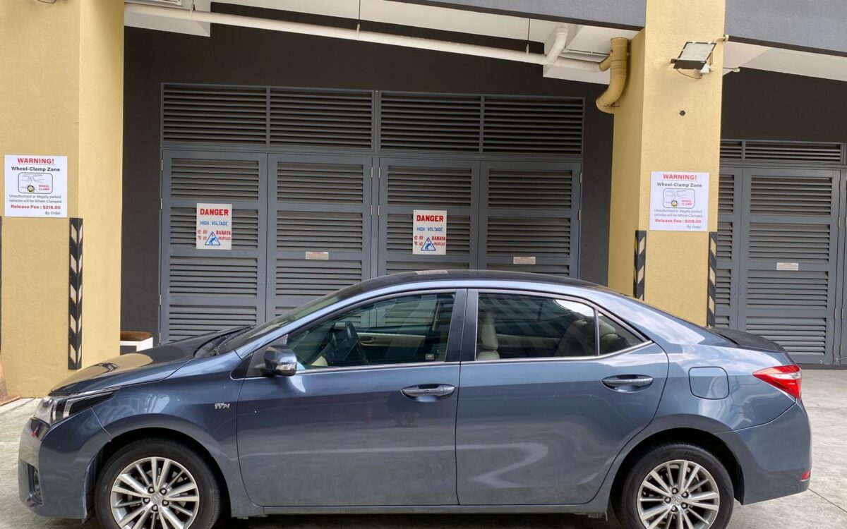 WhatsApp Image 2025-04-28 at 9.47.17 PM