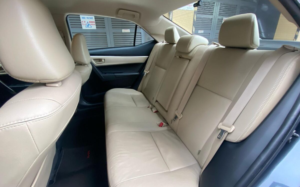 WhatsApp Image 2025-04-28 at 9.47.24 PM