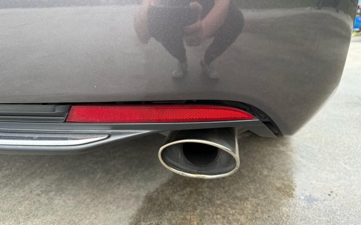 WhatsApp Image 2025-04-29 at 12.32.48 AM (2)