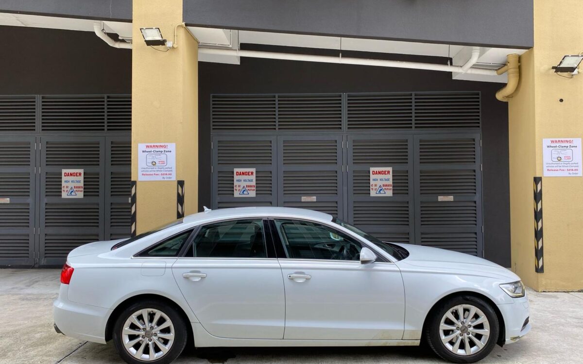 WhatsApp Image 2025-04-30 at 6.26.35 PM (1)