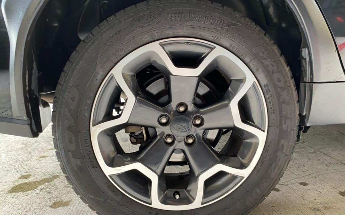 WhatsApp Image 2025-04-30 at 6.43.06 PM