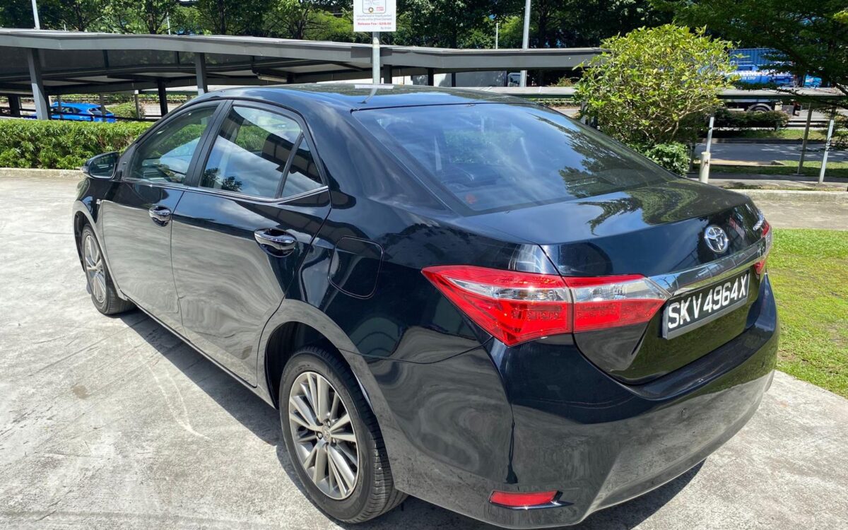 WhatsApp Image 2025-05-27 at 12.33.01 AM (1)