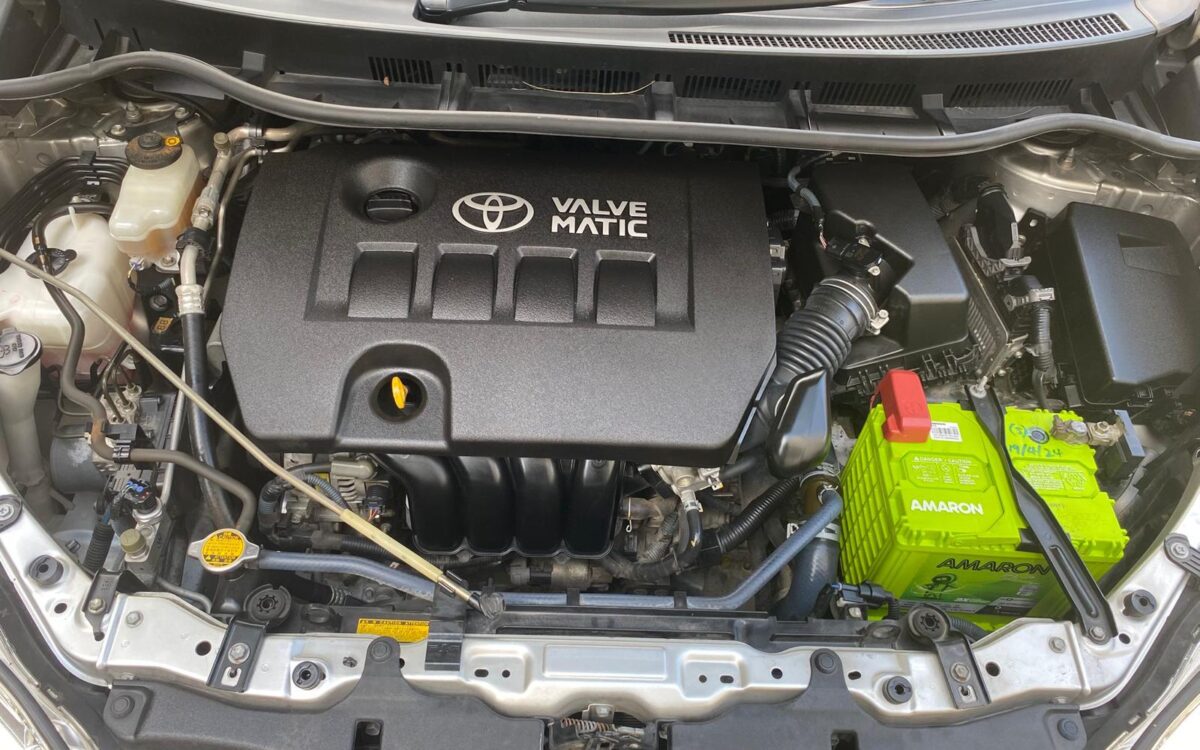 WhatsApp Image 2025-05-21 at 10.40.25 PM (1)