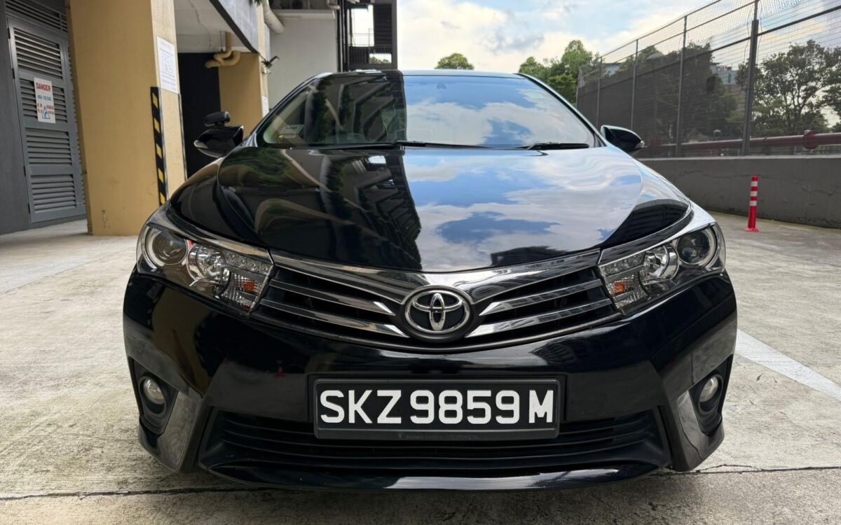 WhatsApp Image 2025-05-21 at 10.50.57 PM