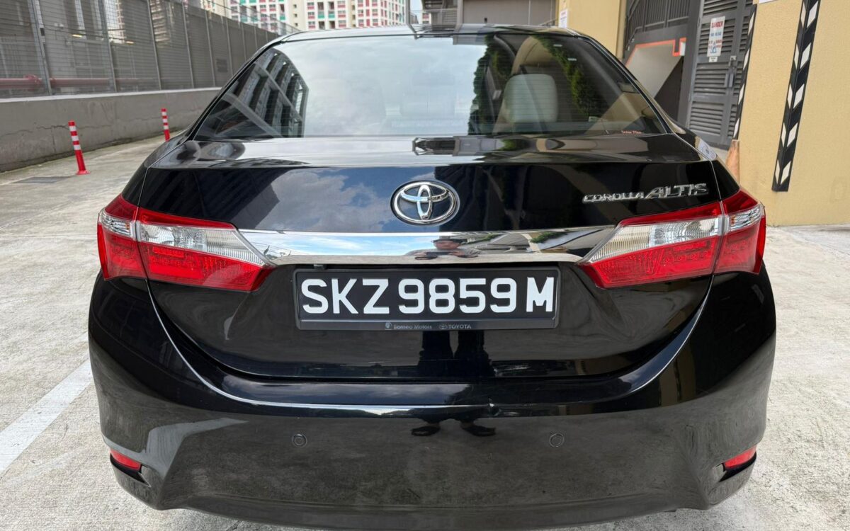 WhatsApp Image 2025-05-21 at 10.50.58 PM (2)