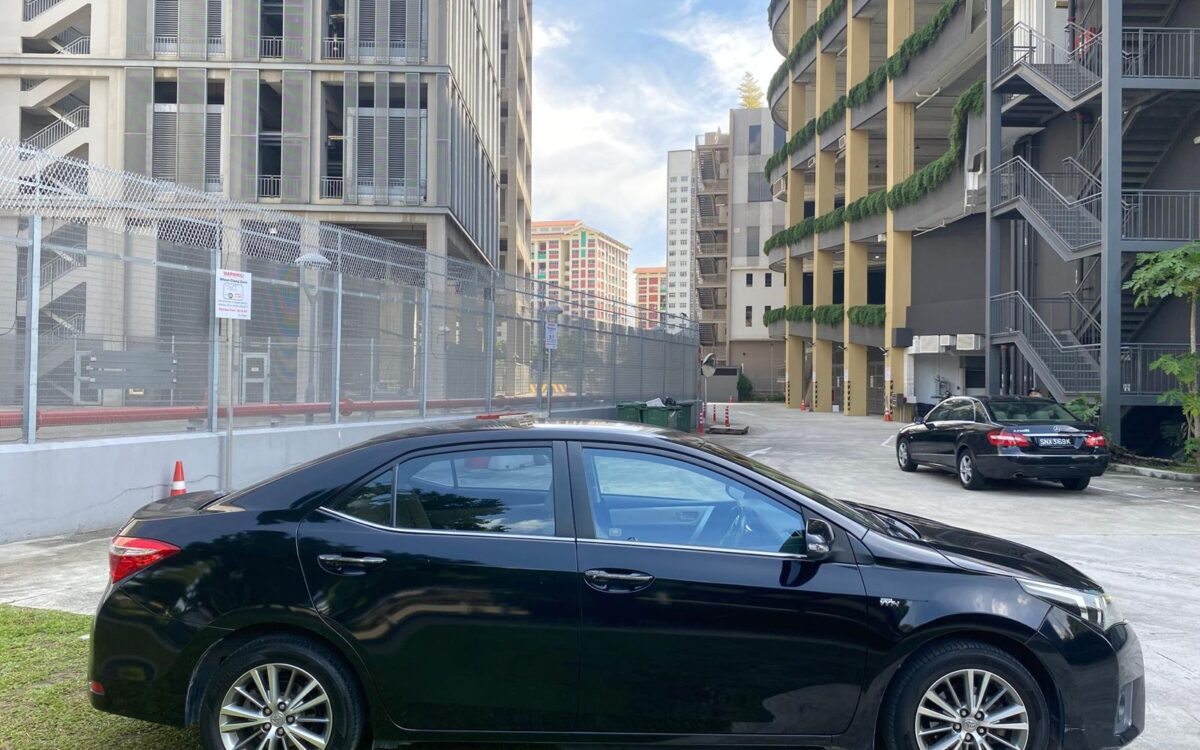 WhatsApp Image 2025-05-27 at 12.16.36 AM (2)